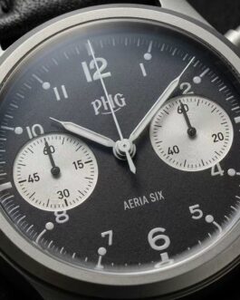 PHG Pilot 38 – FL-A6B
